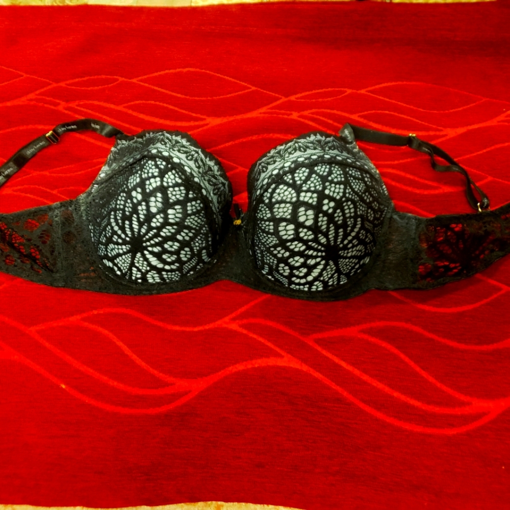 Sexy Daisy Fuentes 42D bra